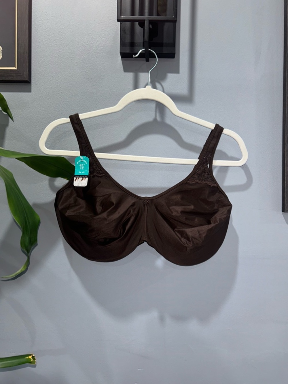 Bali Brown Full Coverage Underwire Bra sz 36G NWT